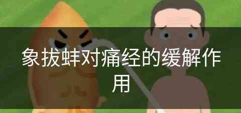 象拔蚌对痛经的缓解作用